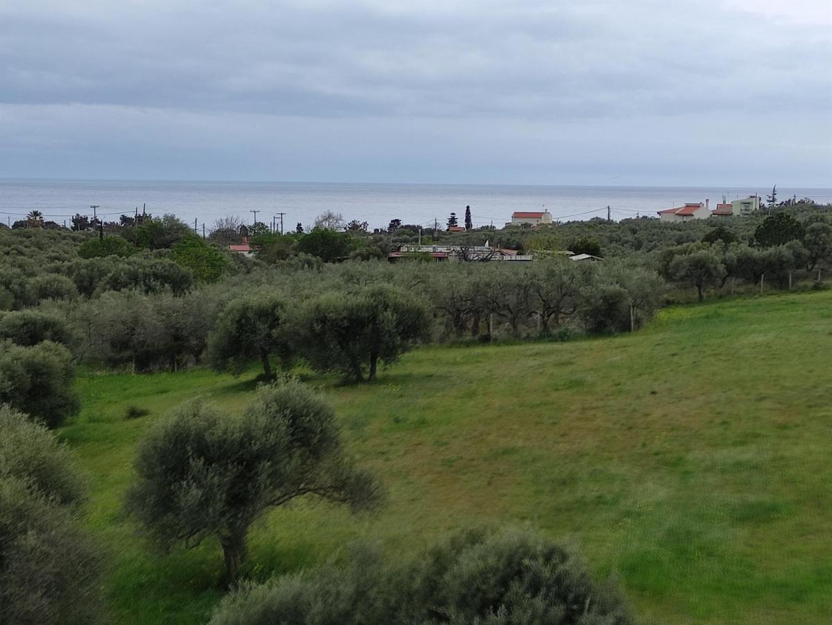 Villa Onari Alexandroupoli Exterior foto